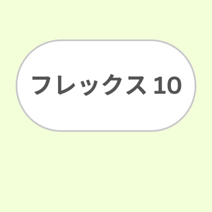 フレックス１０