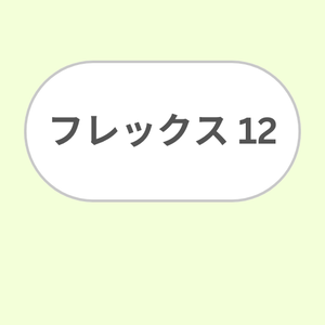 フレックス１２