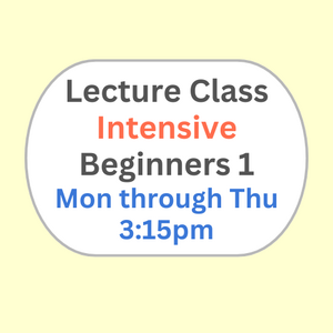 Lecture Class Intensive Beginners 1