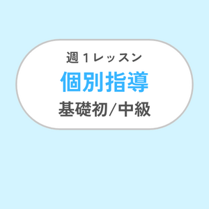 週1レッスン/個別指導