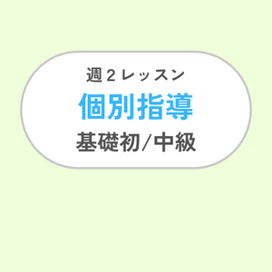 週2レッスン/個別指導