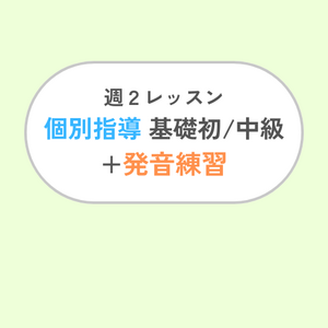 週2レッスン/個別指導+発音練習